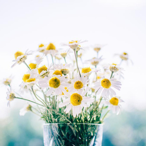 我要进入你的小花园里
