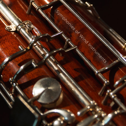 我要进入你的小花园里
